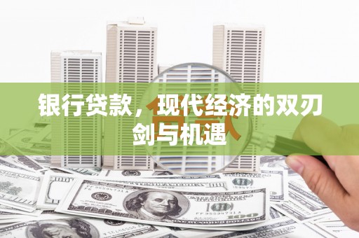 海盐银行贷款，现代经济的双刃剑与机遇