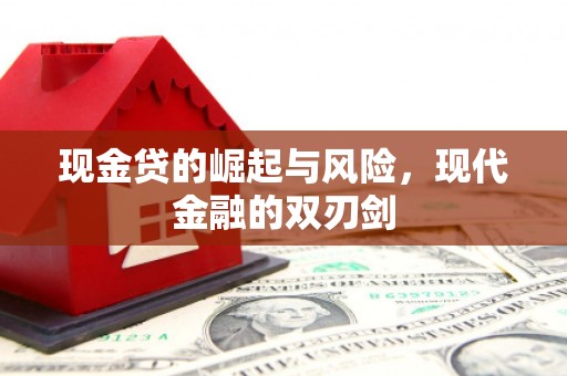 海盐现金贷的崛起与风险，现代金融的双刃剑