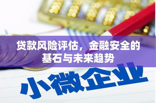 海盐贷款风险评估，金融安全的基石与未来趋势