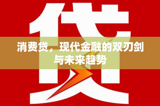 海盐消费贷，现代金融的双刃剑与未来趋势