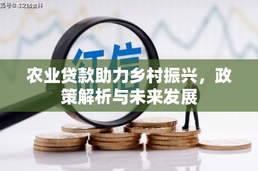 海盐农业贷款助力乡村振兴，政策解析与未来发展