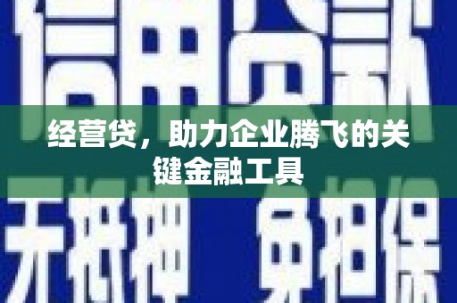 海盐经营贷，助力企业腾飞的关键金融工具