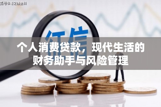 海盐个人消费贷款，现代生活的财务助手与风险管理