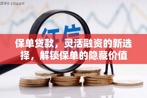 海盐保单贷款，灵活融资的新选择，解锁保单的隐藏价值