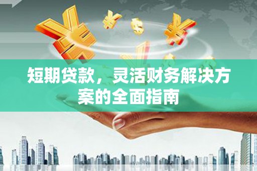 海盐短期贷款，灵活财务解决方案的全面指南