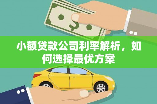 海盐小额贷款公司利率解析，如何选择最优方案