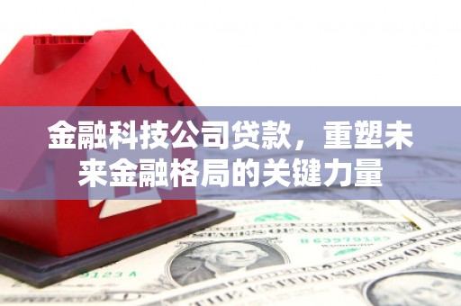 海盐金融科技公司贷款，重塑未来金融格局的关键力量