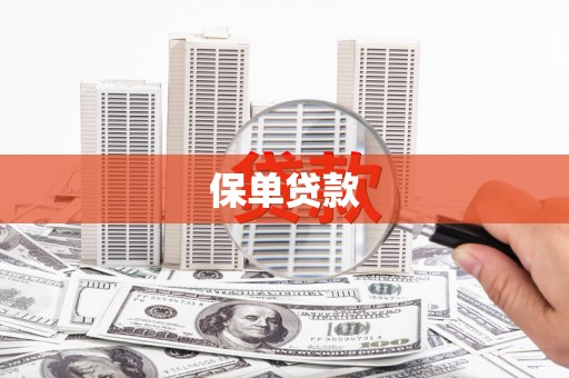 海盐保单贷款