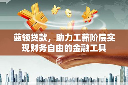 海盐蓝领贷款，助力工薪阶层实现财务自由的金融工具