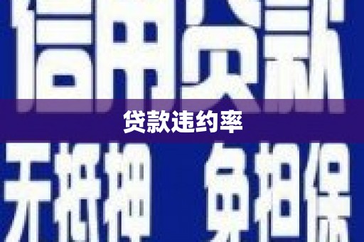 海盐贷款违约率