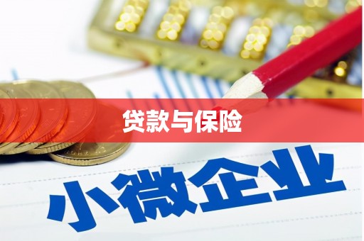 海盐贷款与保险