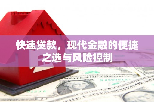 海盐快速贷款，现代金融的便捷之选与风险控制