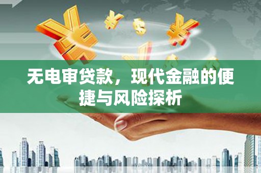 海盐无电审贷款，现代金融的便捷与风险探析