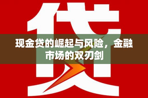 海盐现金贷的崛起与风险，金融市场的双刃剑