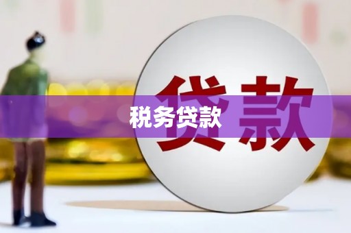 海盐税务贷款