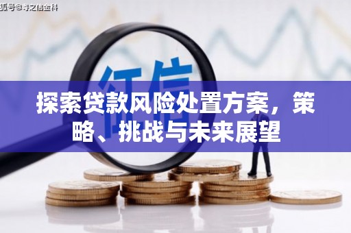 海盐探索贷款风险处置方案，策略、挑战与未来展望