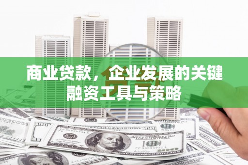 海盐商业贷款，企业发展的关键融资工具与策略