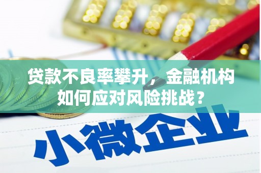 海盐贷款不良率攀升，金融机构如何应对风险挑战？