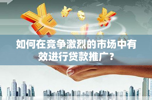 海盐如何在竞争激烈的市场中有效进行贷款推广？