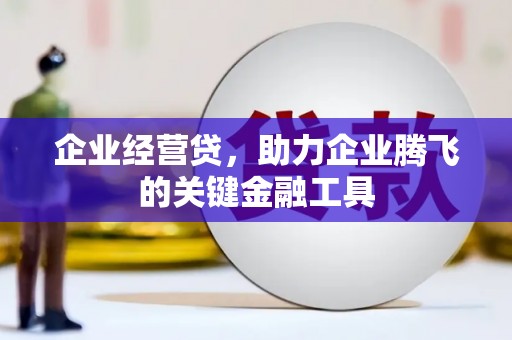 海盐企业经营贷，助力企业腾飞的关键金融工具