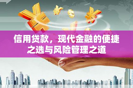 海盐信用贷款，现代金融的便捷之选与风险管理之道