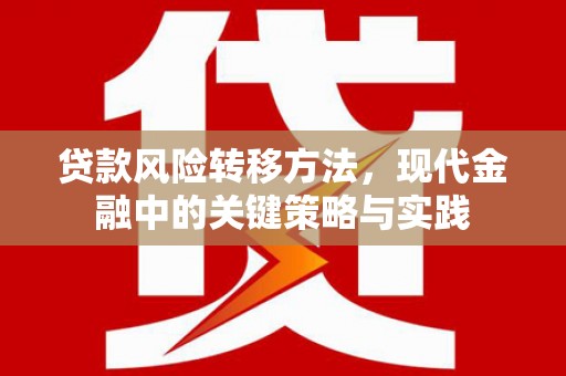 海盐贷款风险转移方法，现代金融中的关键策略与实践