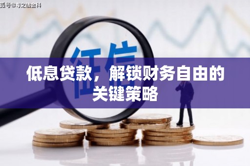 海盐低息贷款，解锁财务自由的关键策略