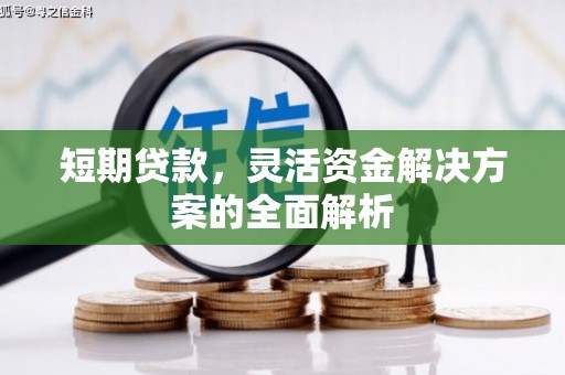 海盐短期贷款，灵活资金解决方案的全面解析