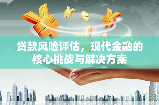海盐贷款风险评估，现代金融的核心挑战与解决方案