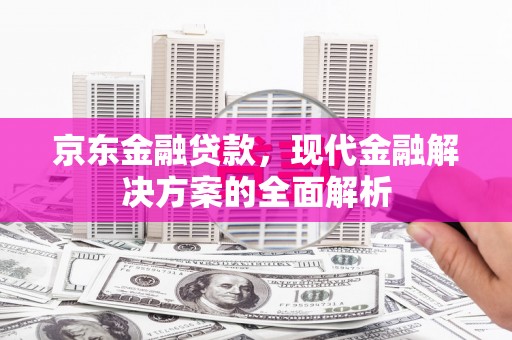 海盐京东金融贷款，现代金融解决方案的全面解析