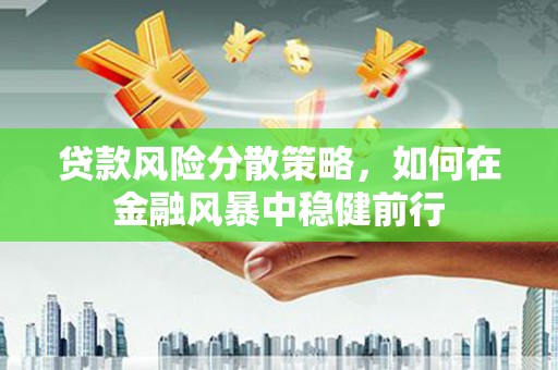 海盐贷款风险分散策略，如何在金融风暴中稳健前行