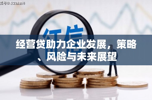 海盐经营贷助力企业发展，策略、风险与未来展望