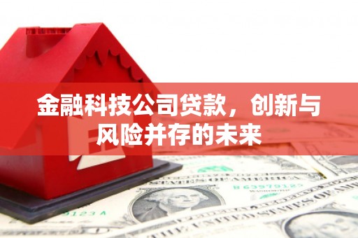 海盐金融科技公司贷款，创新与风险并存的未来