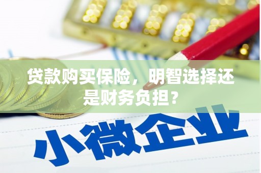 海盐贷款购买保险，明智选择还是财务负担？