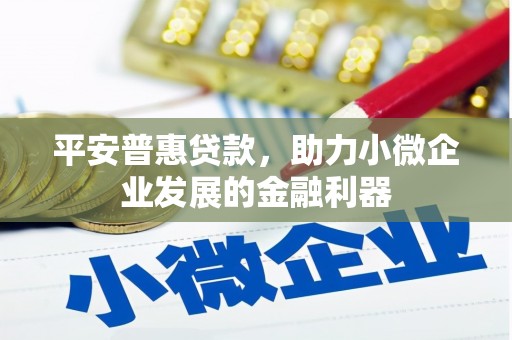 海盐平安普惠贷款，助力小微企业发展的金融利器