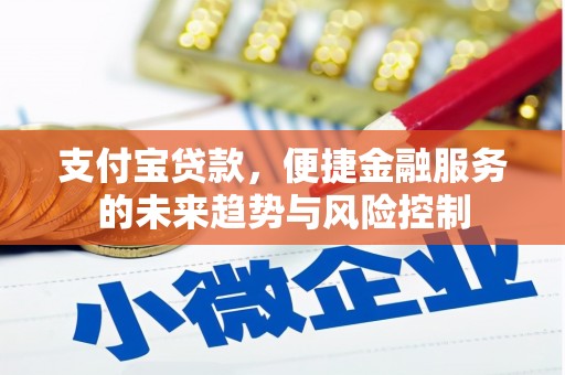 海盐支付宝贷款，便捷金融服务的未来趋势与风险控制