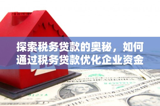 海盐探索税务贷款的奥秘，如何通过税务贷款优化企业资金流