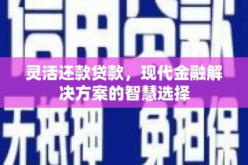 海盐灵活还款贷款，现代金融解决方案的智慧选择