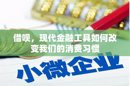 海盐借呗，现代金融工具如何改变我们的消费习惯