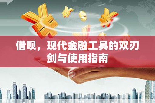 海盐借呗，现代金融工具的双刃剑与使用指南