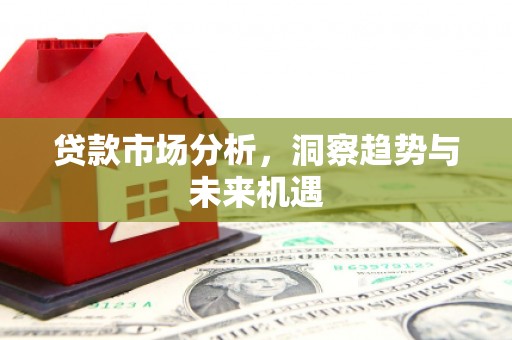海盐贷款市场分析，洞察趋势与未来机遇