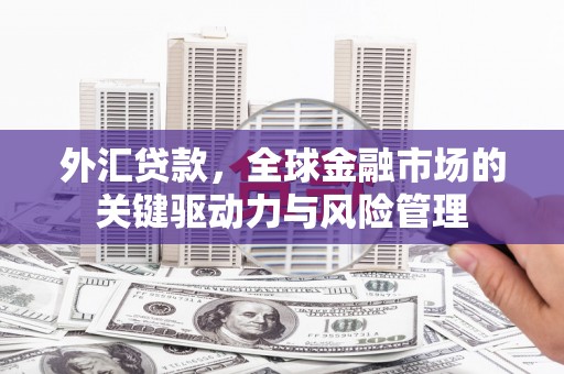 海盐外汇贷款，全球金融市场的关键驱动力与风险管理