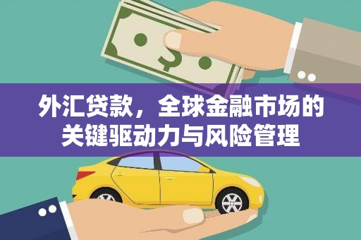 海盐外汇贷款，全球金融市场的关键驱动力与风险管理