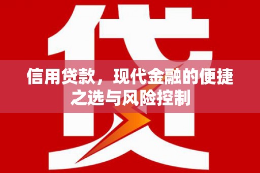 海盐信用贷款，现代金融的便捷之选与风险控制