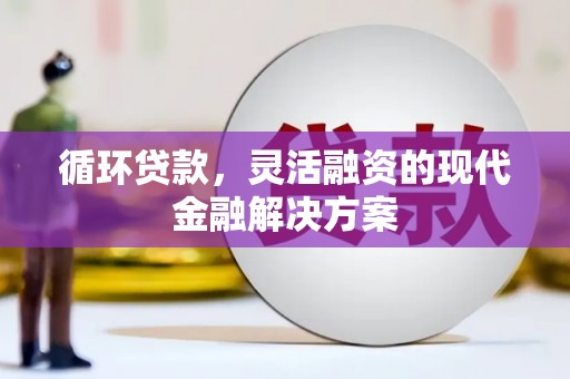 海盐循环贷款，灵活融资的现代金融解决方案
