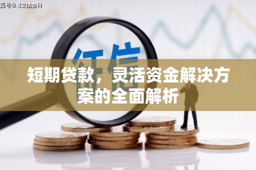海盐短期贷款，灵活资金解决方案的全面解析