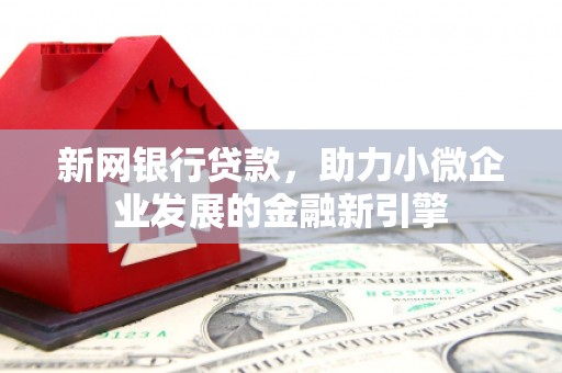 海盐新网银行贷款，助力小微企业发展的金融新引擎