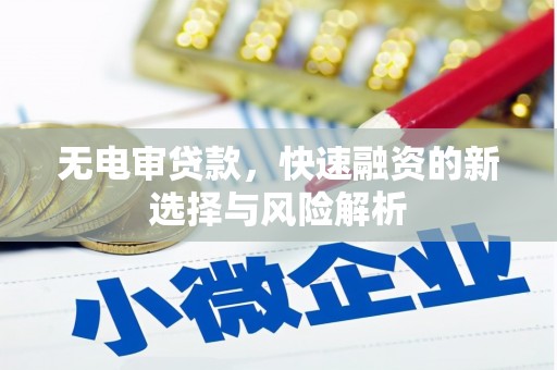海盐无电审贷款，快速融资的新选择与风险解析