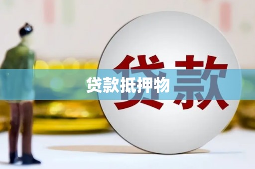 海盐贷款抵押物