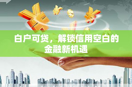海盐白户可贷，解锁信用空白的金融新机遇